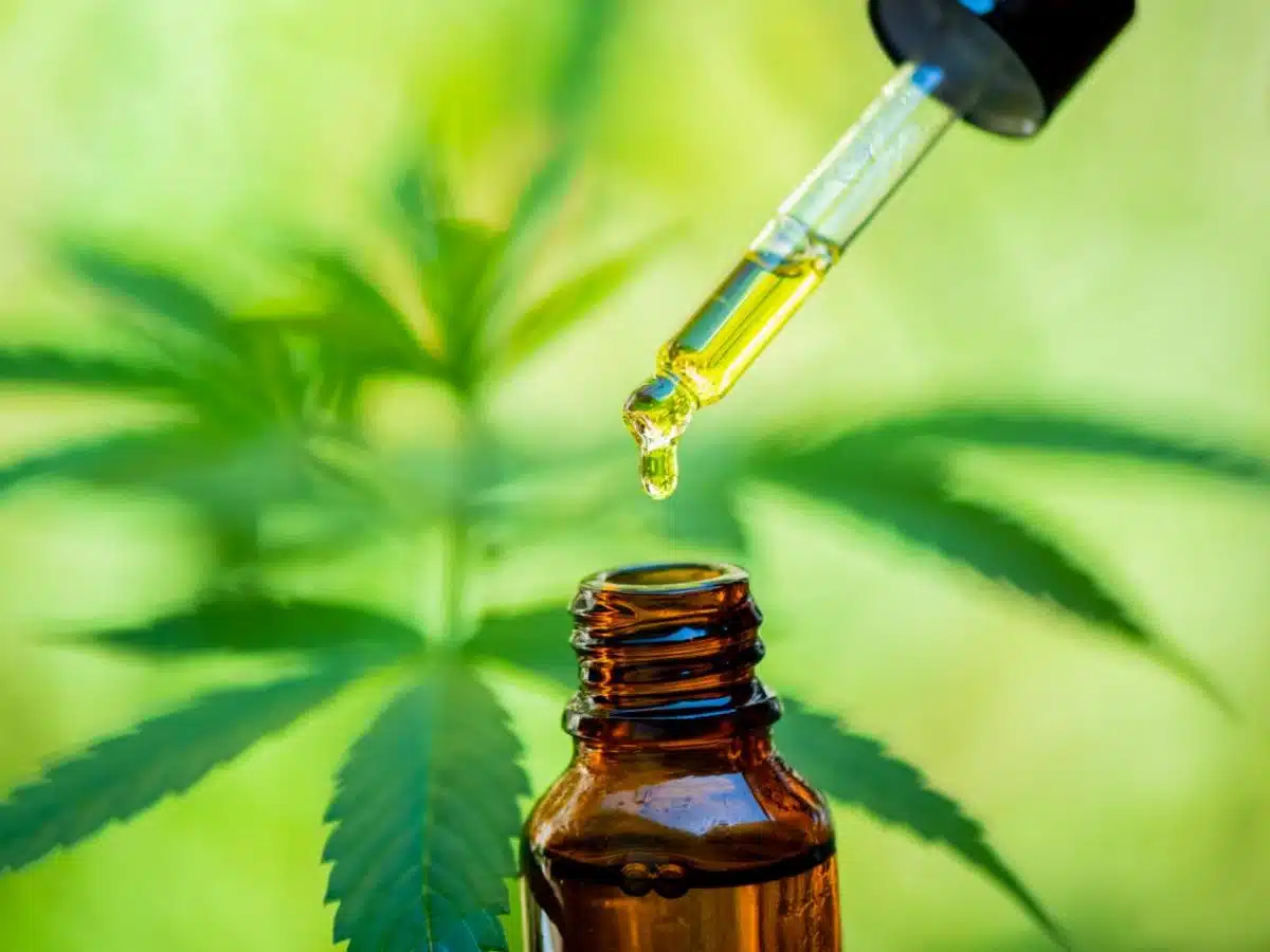 Quels sont les bienfaits de l’huile de CBD pour la santé 