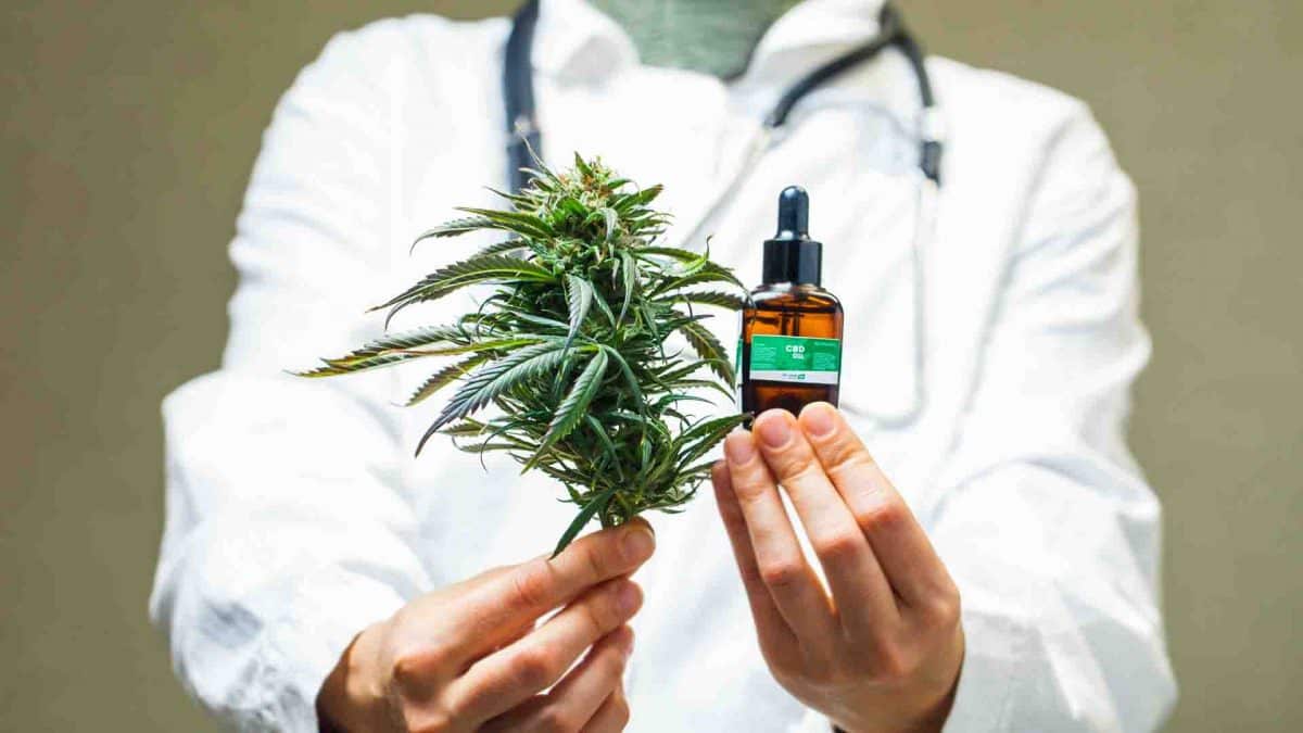 Pourquoi le CBD est-il si bon pour vous ?