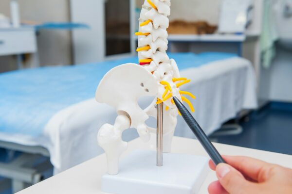 Ostéoporose : découvrez les remèdes naturels qui renforcent vos os