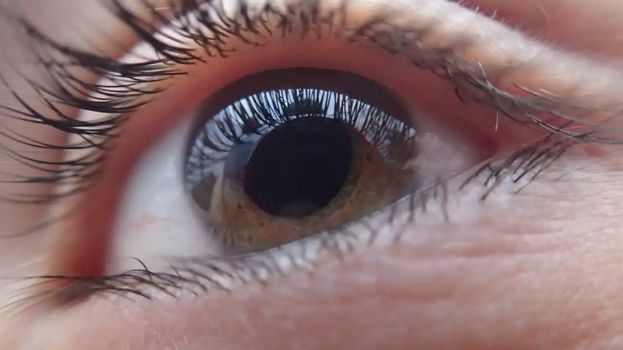 Quels sont les symptômes caractéristiques de la fatigue oculaire et comment les traiter ?