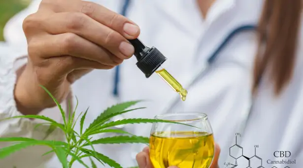 Quels sont les bienfaits de l’huile CBD ?