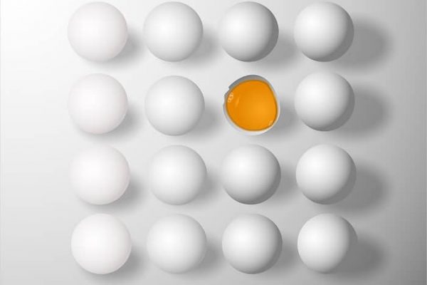 Quel fromage contient le plus de protéines ?