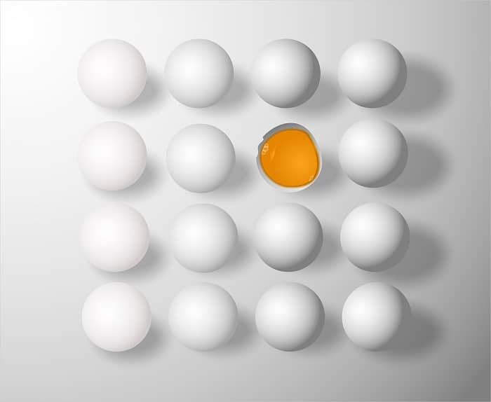 Quel fromage contient le plus de protéines ?
