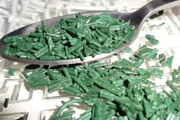 Quels sont les bienfaits de la spiruline sur l’organisme ?