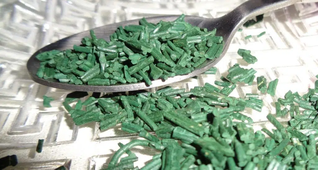 Quels sont les bienfaits de la spiruline sur l’organisme ?