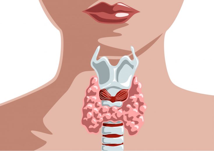 Pourquoi l’hypothyroïdie la rend grasse ?